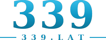 339 logo